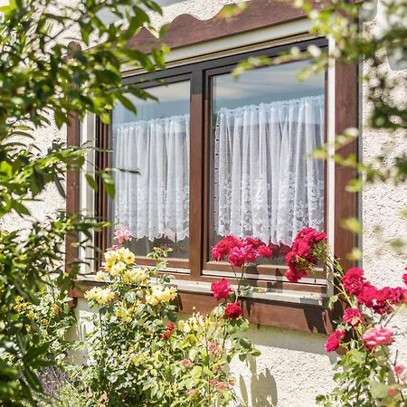 Bett Und Fruehstueck Bei Gertrud Apartman Hergensweiler Kültér fotó
